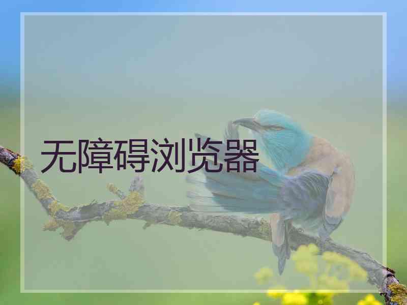 无障碍浏览器