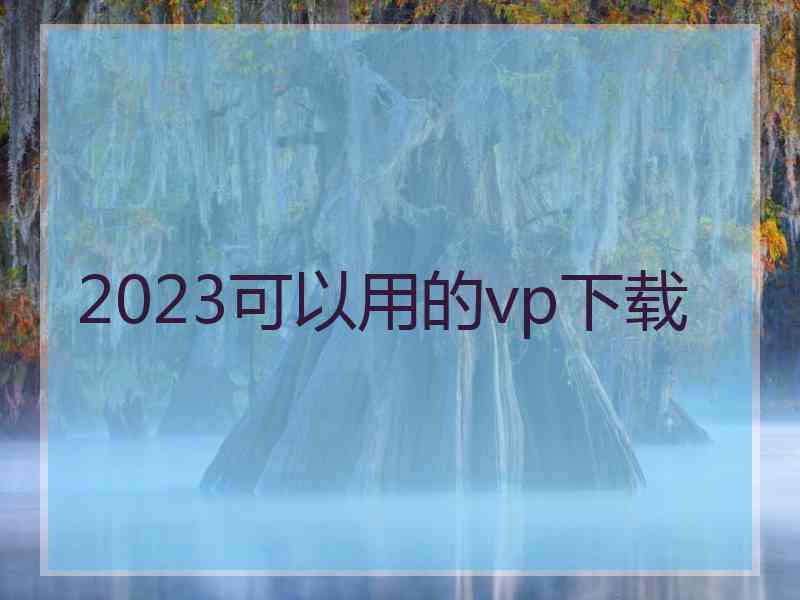 2023可以用的vp下载