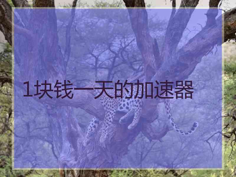 1块钱一天的加速器