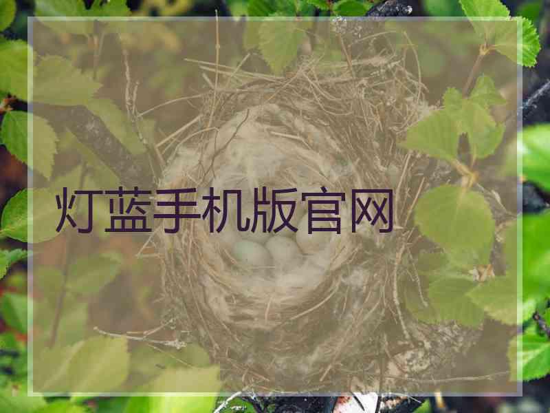 灯蓝手机版官网