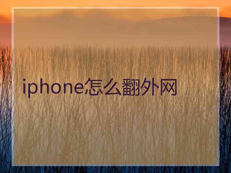 iphone怎么翻外网