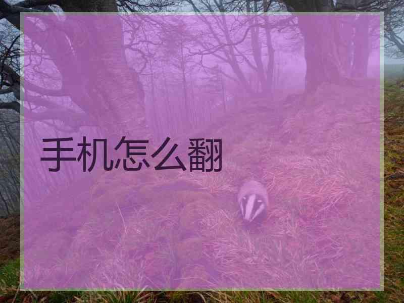 手机怎么翻